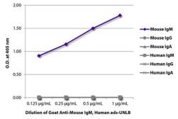 Goat anti-Mouse IgM (mu chain) antibody, pre-adsorbed. GTX03389