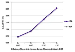 Anti-Albumin antibody used in ELISA (ELISA). GTX03403