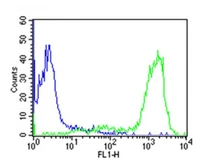 Anti-CD44 antibody [Hermes-3] used in Flow cytometry (FACS). GTX03492