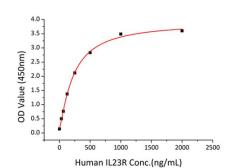 Human IL23 protein, His Tag. GTX03648-pro