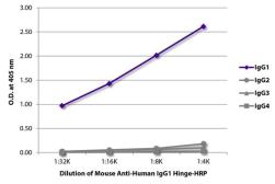 Mouse anti-Human IgG1 Hinge antibody [4E3] (HRP). GTX03661