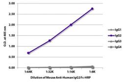Mouse anti-Human IgG2 Fc antibody [31-7-4] (HRP). GTX03662