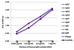 Human IgM isotype control. GTX03790