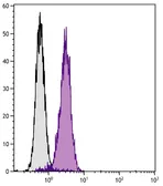 Mouse Anti-Armenian Hamster IgG2+IgG3 antibody [SB139e] (FITC). GTX04118-06