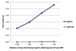 Goat Anti-Human IgG (Fc) antibody, pre-adsorbed (HRP). GTX04119-01