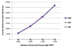 Goat Anti-Human IgM (Mu chain) antibody, pre-adsorbed (TRITC). GTX04120-25