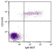 Goat Anti-Human IgM (Mu chain) antibody, F(ab')2 fragment, pre-adsorbed (Biotin). GTX04121-02