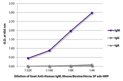 Goat Anti-Human IgM (Mu chain) antibody, pre-adsorbed (HRP). GTX04122-01