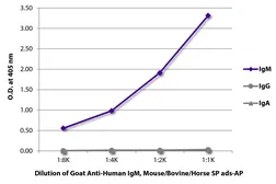 Goat Anti-Human IgM (Mu chain) antibody, pre-adsorbed (AP). GTX04122-03