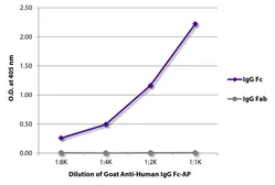Goat Anti-Human IgG (Fc) antibody, pre-adsorbed (AP). GTX04125-03