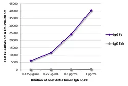 Goat Anti-Human IgG (Fc) antibody, pre-adsorbed (PE). GTX04125-08