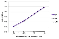 Goat Anti-Human IgA (Heavy chain) antibody, pre-adsorbed (HRP). GTX04126-01