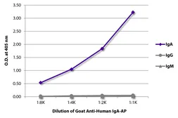 Goat Anti-Human IgA (Heavy chain) antibody, pre-adsorbed (AP). GTX04126-03