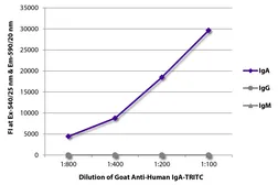 Goat Anti-Human IgA (Heavy chain) antibody, pre-adsorbed (TRITC). GTX04126-25