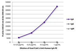 Goat Anti-Human IgA (Heavy chain) antibody, F(ab')2 fragment, pre-adsorbed (PE). GTX04127-08