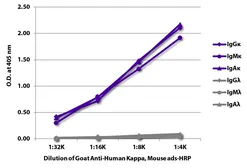 Goat Anti-Human kappa light chain antibody, pre-adsorbed (HRP). GTX04130-01