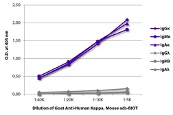 Goat Anti-Human kappa light chain antibody, pre-adsorbed (Biotin). GTX04130-02