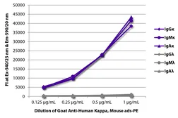 Goat Anti-Human kappa light chain antibody, pre-adsorbed (PE). GTX04130-08