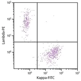 Goat Anti-Human kappa light chain antibody, F(ab')2 fragment, pre-adsorbed (FITC). GTX04131-06