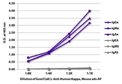 Goat Anti-Human kappa light chain antibody, F(ab')2 fragment, pre-adsorbed (AP). GTX04132-03
