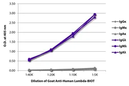 Goat Anti-Human lambda light chain antibody, pre-adsorbed (Biotin). GTX04133-02