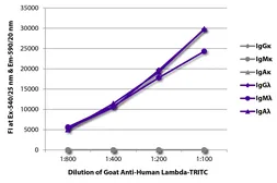Goat Anti-Human lambda light chain antibody, pre-adsorbed (TRITC). GTX04133-25