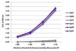 Goat Anti-Human lambda light chain antibody, pre-adsorbed (AP). GTX04134-03