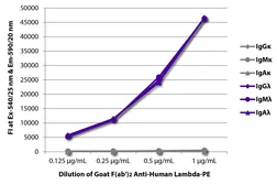 Goat Anti-Human lambda light chain antibody, F(ab')2 fragment, pre-adsorbed (PE). GTX04135-08