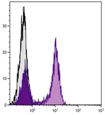 Mouse Anti-Rat IgG1 antibody [G11C5] (Biotin). GTX04139-02