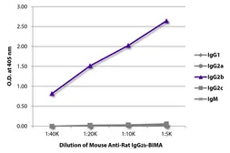 Mouse Anti-Rat IgG2b antibody [2B10A8] (Biotin). GTX04141-02