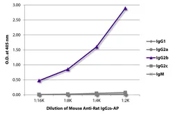 Mouse Anti-Rat IgG2b antibody [2B10A8] (AP). GTX04141-03