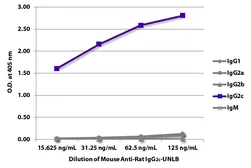 Mouse Anti-Rat IgG2c antibody [2C8F1]. GTX04142