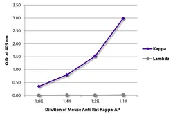 Mouse Anti-Rat kappa light chain antibody [K4F5] (AP). GTX04145-03