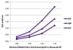 Rabbit Anti-Human IgG antibody, F(ab')2 fragment, pre-adsorbed (AP). GTX04155-03