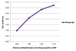 Rabbit Anti-Sheep IgG antibody, F(ab')2 fragment, pre-adsorbed (HRP). GTX04156-01