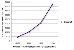 Rabbit Anti-Sheep IgG antibody, F(ab')2 fragment, pre-adsorbed (FITC). GTX04156-06