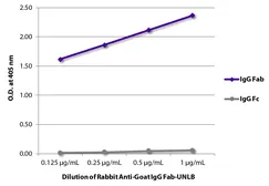 Rabbit Anti-Goat IgG (Fab) antibody, pre-adsorbed. GTX04159