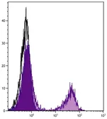 Goat Anti-Golden Syrian Hamster IgG antibody, pre-adsorbed (PE). GTX04160-08