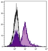 Goat Anti-Golden Syrian Hamster IgG antibody, pre-adsorbed (PE-Cy7). GTX04160-10