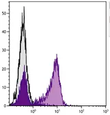 Goat Anti-Golden Syrian Hamster IgG antibody, F(ab')2 fragment, pre-adsorbed (Biotin). GTX04161-02