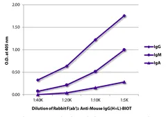 Rabbit Anti-Mouse IgG antibody, F(ab')2 fragment, pre-adsorbed (Biotin). GTX04163-02