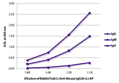 Rabbit Anti-Mouse IgG antibody, F(ab')2 fragment, pre-adsorbed (AP). GTX04163-03