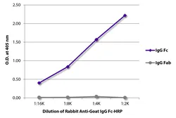 Rabbit Anti-Goat IgG (Fc) antibody, pre-adsorbed (HRP). GTX04168-01