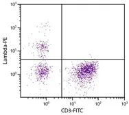 Mouse Anti-Chicken lambda light chain antibody [L-1] (PE). GTX04175-08