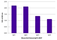 Mouse Anti-Human IgG (Fc) antibody [H2] (Biotin). GTX04177-02