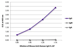 Mouse Anti-Human IgG (Fc) antibody [H2] (AP). GTX04177-03