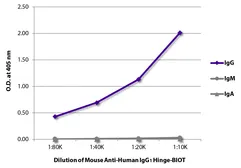 Mouse Anti-Human IgG1 (hinge region) antibody [4E3] (Biotin). GTX04178-02