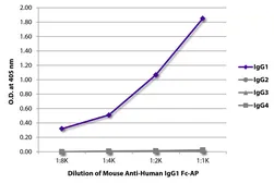 Mouse Anti-Human IgG1 (Fc) antibody [HP6001] (AP). GTX04179-03