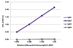 Mouse Anti-Human IgG2 (Fc) antibody [HP6002] (Biotin). GTX04180-02