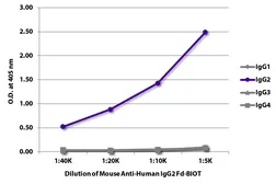 Mouse Anti-Human IgG2 (Fd) antibody [HP6014] (Biotin). GTX04181-02